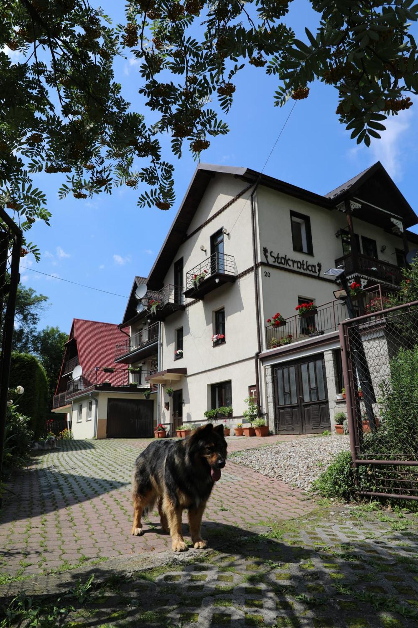 Stokrotka Pokoje I W Centrum Szczawnicy * Szczawnica